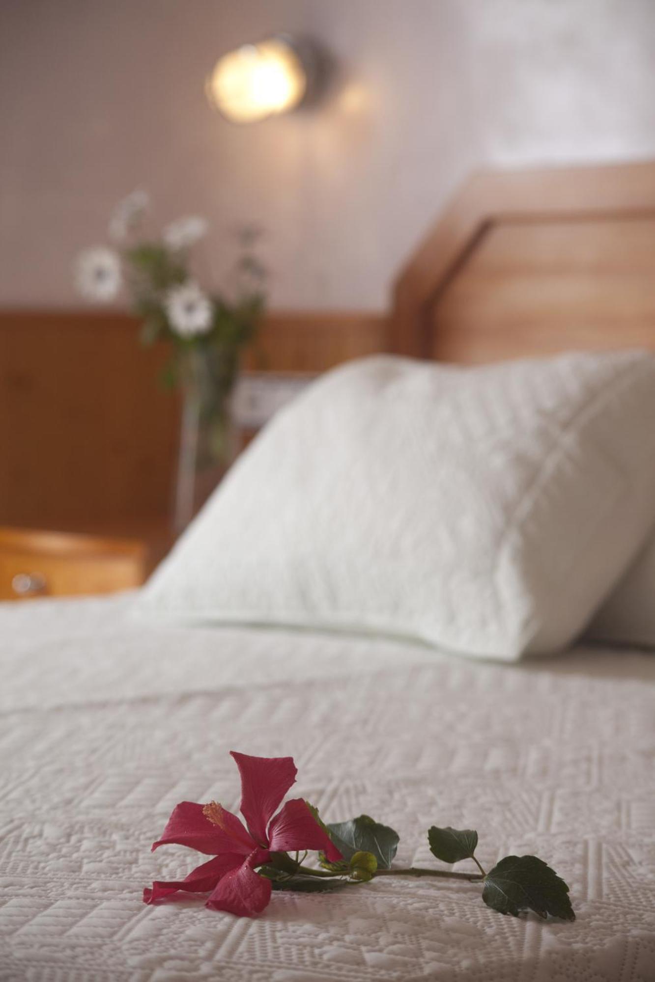 Hostal Mar De Frente Los Canos De Meca Pokój zdjęcie